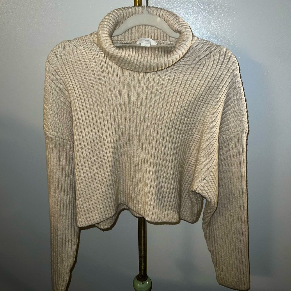 H&M Turtle Neck cropped sweater